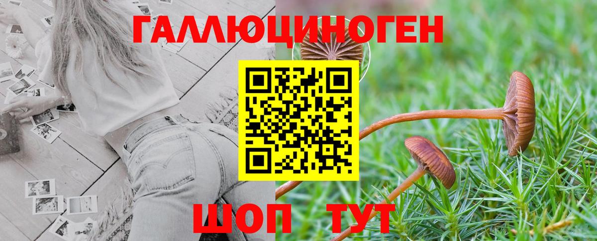Псилоцибиновые грибы прущие грибы  Псилоцибиновые грибы Psilocybe  Ярцево  Вход с VPN 